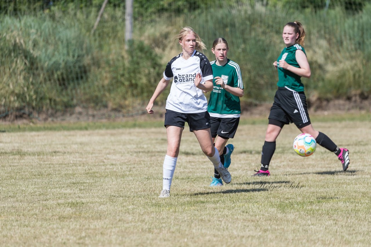 Bild 251 - wBJ TuRa Meldorf/Buesum - JFV Luebeck : Ergebnis: 1:0